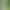 Velké hedvábné květy pampové trávy 100cm-b09-1pc