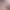 Seksowna koronkowa bielizna damska - więcej kolorów