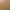 Ghirlandă luminoasă cu frunze de arțar 150 / 300 cm