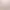 Pernă moale de pluș - Shiba-Inu