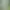 Velké hedvábné květy pampové trávy 100cm-b01-1pc