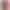 Univerzální nylonový řemínek 20 mm světle fialová