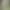 Velké hedvábné květy pampové trávy 100cm-b06-1pc