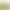 Lógó, többszínű petúnia | 100 magok