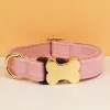 Dog collar 5