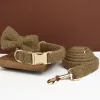 Bow Collar Leash 1