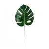 large-monstera-dark