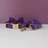 Bow Collar Leash16