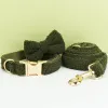 Bow Collar Leash