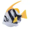 angelfish-grey