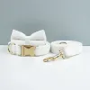 Bow Collar Leash38