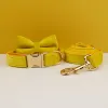 Bow Collar Leash04