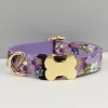 Dog collar 1