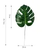 large-monstera-dark