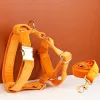 Harness leash41