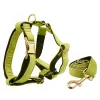 Harness leash37