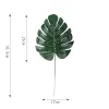 medium-monstera-dark