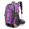 purple-40l