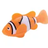 clownfish-orange