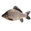 Fishing Supplies