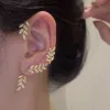 Gold-Left ear 1