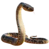 Terrariumbouw