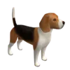 Honden
