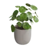 Dekorationen