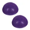 purple-2pcs