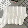 White - 6 Pairs