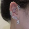 Silver-Right ear 1