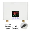 110v3000wus-plug