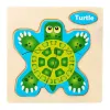18-tortoise