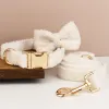 Bow Collar Leash 3