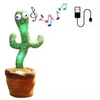 Dancing Cactus