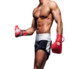 Pantalones Cortos de Boxeo
