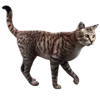 Katten