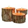 Décorations Naturelles