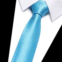 Men's elegant silk tie