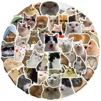 Set of funny stickers with cat Kitty