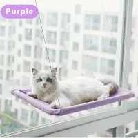 Roztomilá mačka visiaca v okne