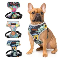 Dog harness with leash for small dogs