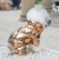 Costum de lux pentru câini Titch