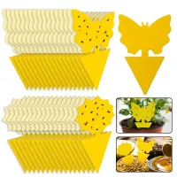 Double-sided insect and pest catcher in pots - 10 pcs