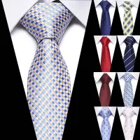 Men's luxury business tie Brock