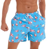 Men's stylish swimsuits with flamingos