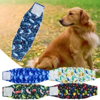 Diaper panties for dog with high absorption