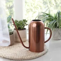 Stainless steel watering can Bia