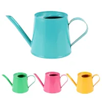 Designer tin watering can for watering flowers - several colour variants