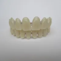 Dočasné živicové zubné náhrady pre krásny úsmev Pruitt